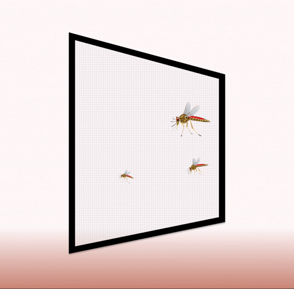 mosquito net, mosquito net folding, mosquito net for windows, mosquito net for door, mosquito net for balcony, mosquito net installation, mosquito net door for home, mosquito net folding window, mosquito net for baby, mosquito net and, mosquito net for windows tamil, mosquito net folding in tamil, mosquito net review, mosquito net tamil, mosquito net folding door